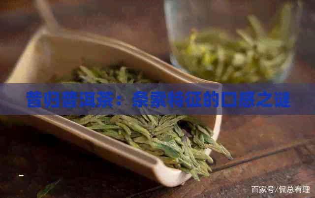 昔归普洱茶：条索特征的口感之谜