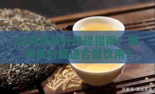 功夫茶茶叶选择指南：哪种茶叶最适合健饮用？