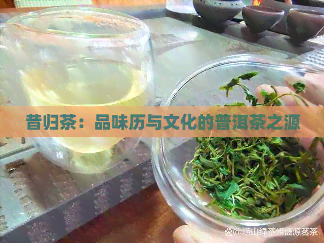 昔归茶：品味历与文化的普洱茶之源