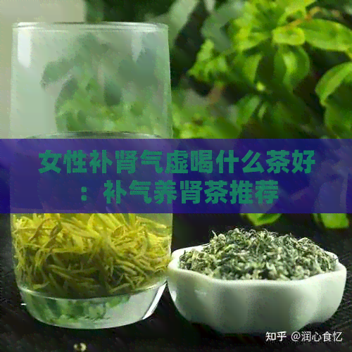 女性补肾气虚喝什么茶好：补气养肾茶推荐