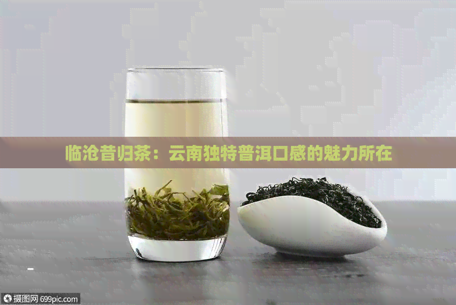 临沧昔归茶：云南独特普洱口感的魅力所在