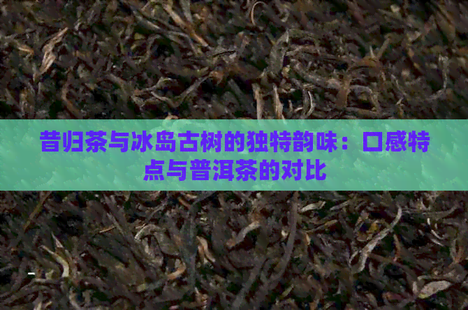 昔归茶与冰岛古树的独特韵味：口感特点与普洱茶的对比