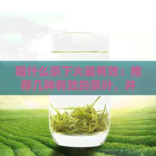 喝什么茶下火最有效：推荐几种有效的茶叶，并提供饮用方法。