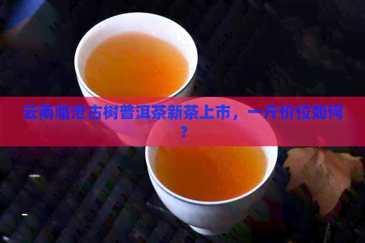 云南临沧古树普洱茶新茶上市，一斤价位如何？