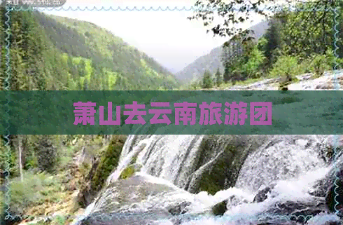 萧山去云南旅游团