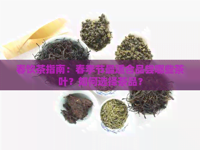 春饮茶指南：春李节最适合品尝哪些茶叶？如何选择茶品？