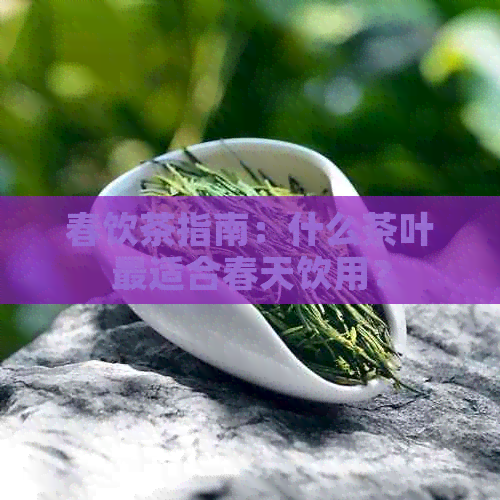 春饮茶指南：什么茶叶最适合春天饮用？