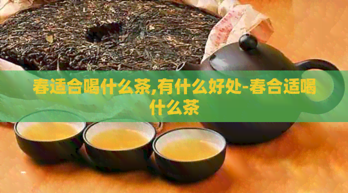 春适合喝什么茶,有什么好处-春合适喝什么茶