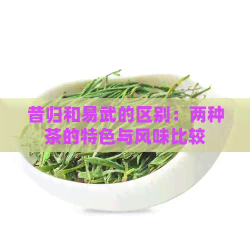 昔归和易武的区别：两种茶的特色与风味比较