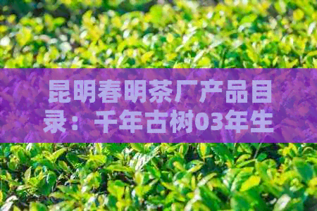 昆明春明茶厂产品目录：千年古树03年生云南春明茶厂建厂成立官方网址详解