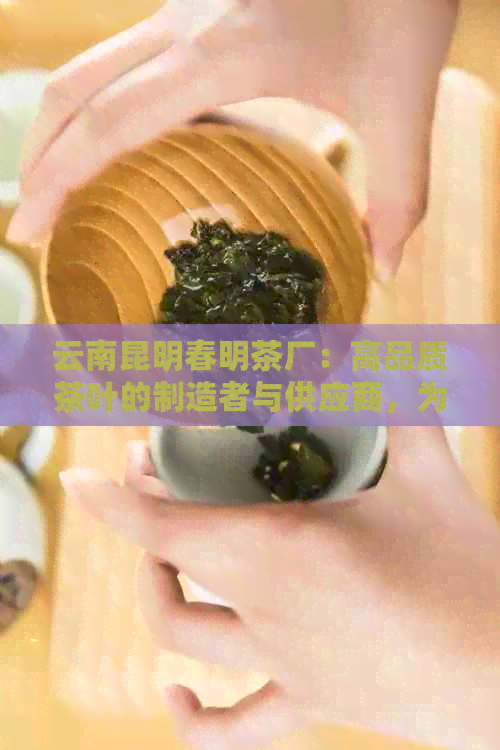 云南昆明春明茶厂：高品质茶叶的制造者与供应商，为您提供全面的茶文化体验