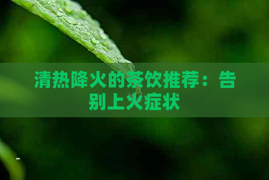 清热降火的茶饮推荐：告别上火症状