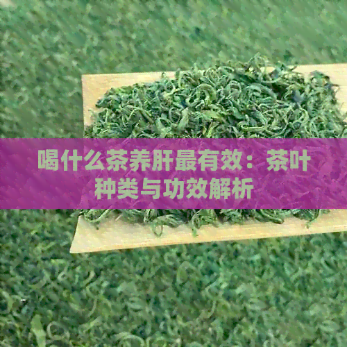 喝什么茶养肝最有效：茶叶种类与功效解析