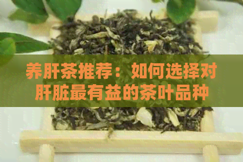 养肝茶推荐：如何选择对肝脏最有益的茶叶品种