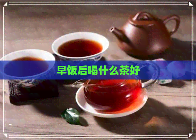 早饭后喝什么茶好