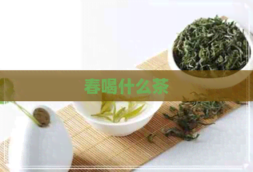 春喝什么茶