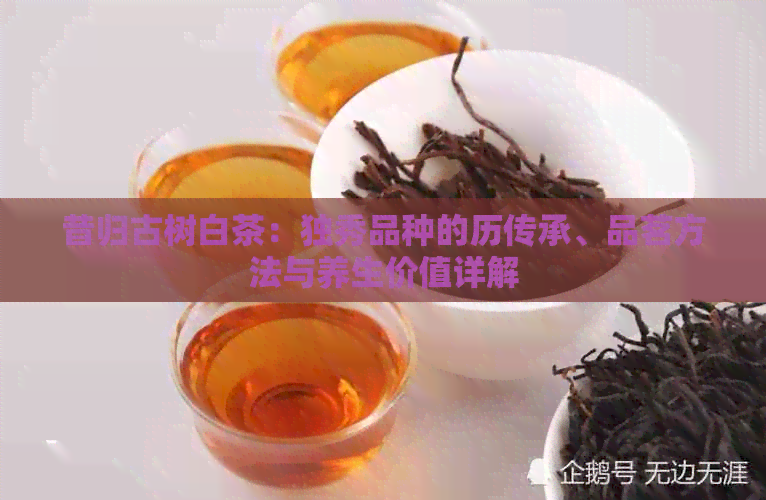 昔归古树白茶：独秀品种的历传承、品茗方法与养生价值详解