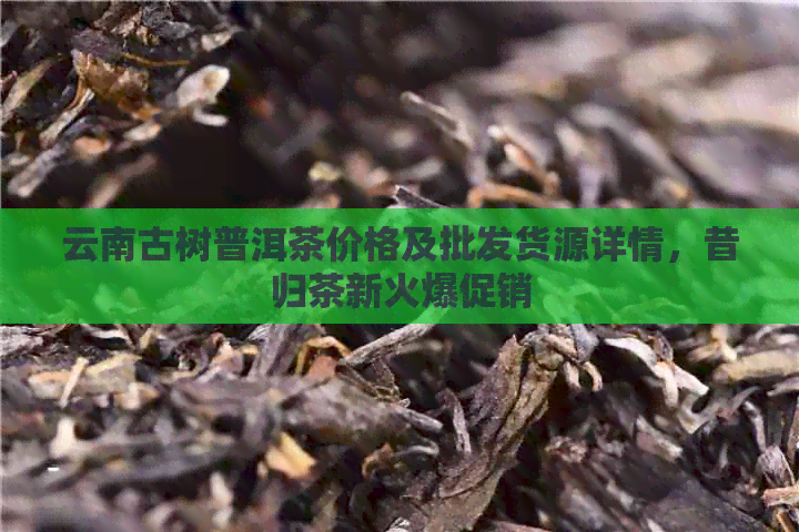 云南古树普洱茶价格及批发货源详情，昔归茶新火爆促销