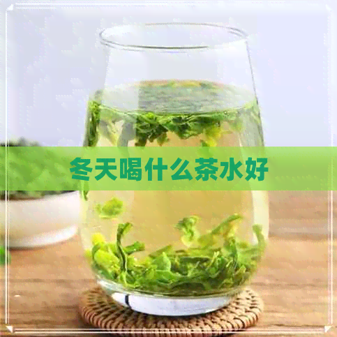 冬天喝什么茶水好