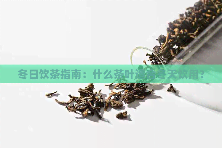 冬日饮茶指南：什么茶叶适合冬天饮用？