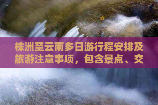 株洲至云南多日     程安排及旅游注意事项，包含景点、交通、住宿等全面信息