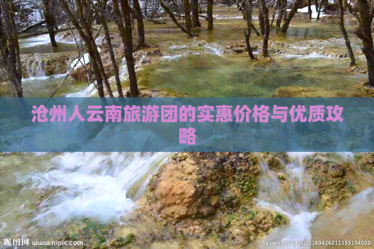 沧州人云南旅游团的实惠价格与优质攻略