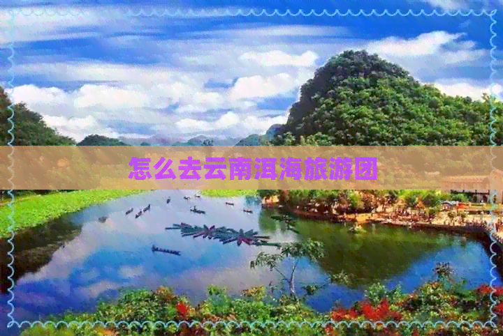 怎么去云南洱海旅游团