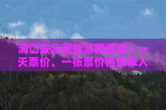 洞口去云南旅游团费用：一天票价、一张票价格及单人费用是多少？