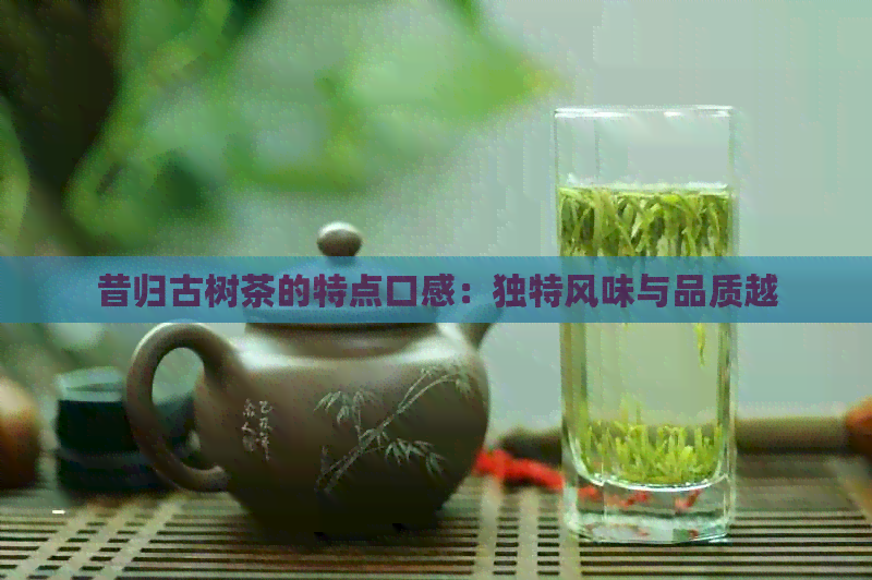 昔归古树茶的特点口感：独特风味与品质越