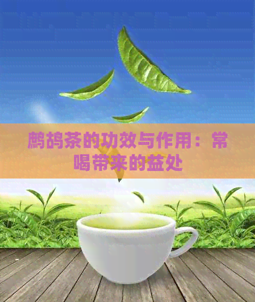 鹧鸪茶的功效与作用：常喝带来的益处