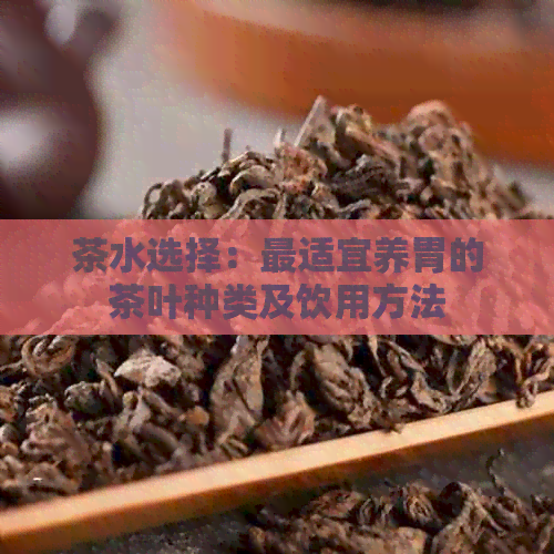 茶水选择：最适宜养胃的茶叶种类及饮用方法