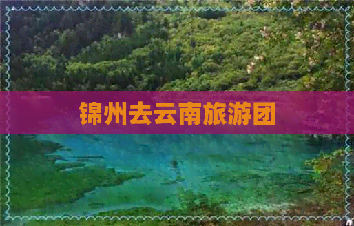 锦州去云南旅游团