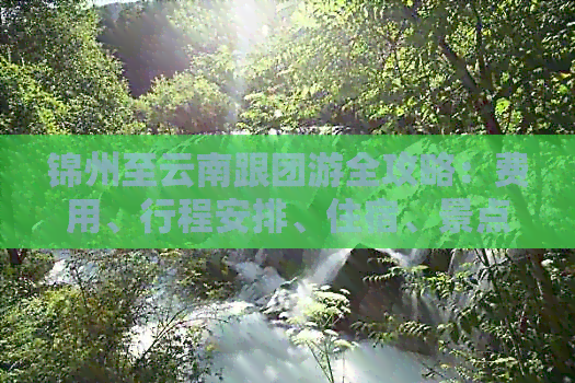 锦州至云南跟团游全攻略：费用、行程安排、住宿、景点推荐等一应俱全