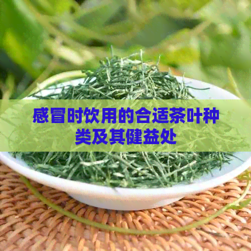 感冒时饮用的合适茶叶种类及其健益处