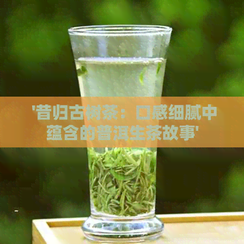  '昔归古树茶：口感细腻中蕴含的普洱生茶故事'