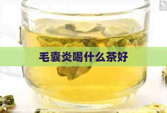 毛囊炎喝什么茶好