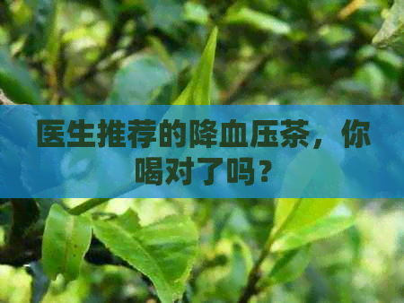 医生推荐的降血压茶，你喝对了吗？