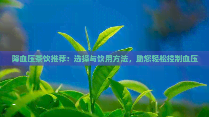 降血压茶饮推荐：选择与饮用方法，助您轻松控制血压