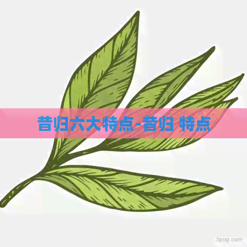 昔归六大特点-昔归 特点