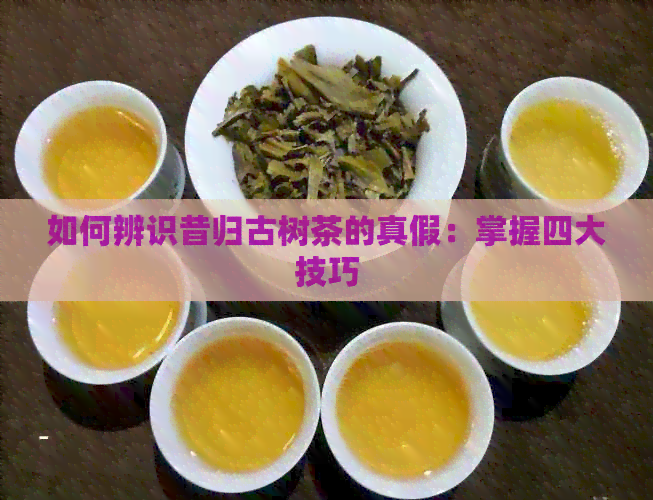 如何辨识昔归古树茶的真假：掌握四大技巧