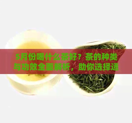 5月份喝什么茶好？茶的种类与功效全面解析，助你选择适合自己的茶饮