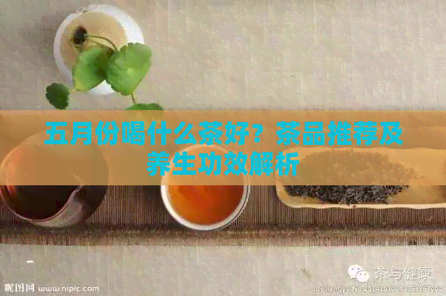 五月份喝什么茶好？茶品推荐及养生功效解析