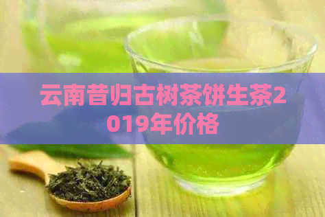 云南昔归古树茶饼生茶2019年价格