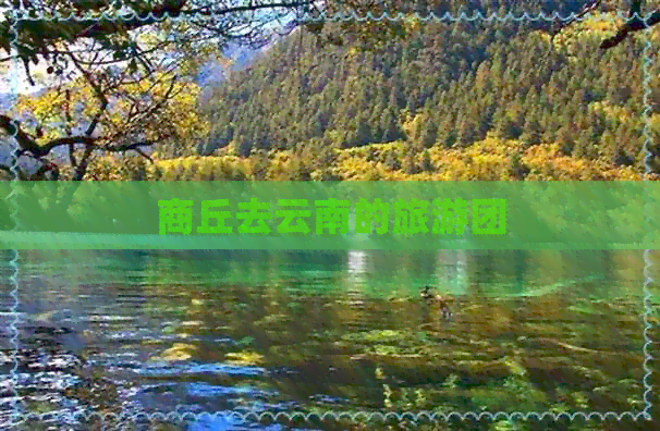 商丘去云南的旅游团