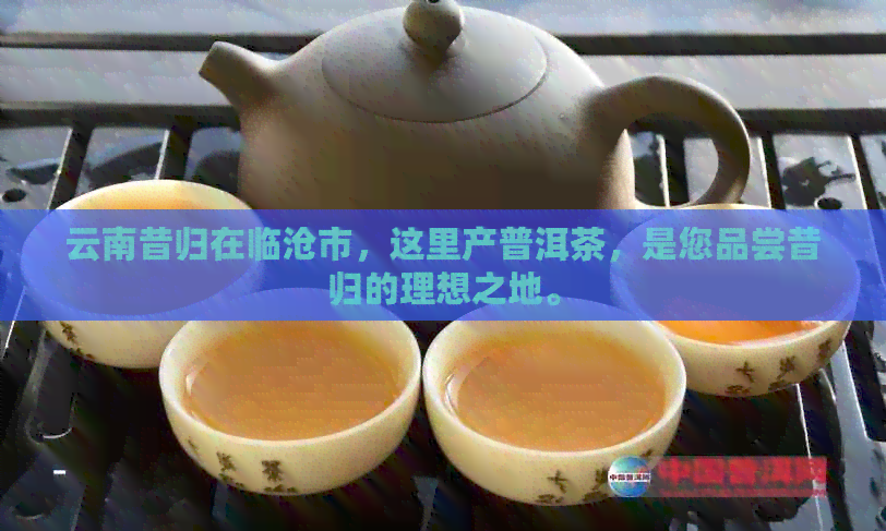 云南昔归在临沧市，这里产普洱茶，是您品尝昔归的理想之地。