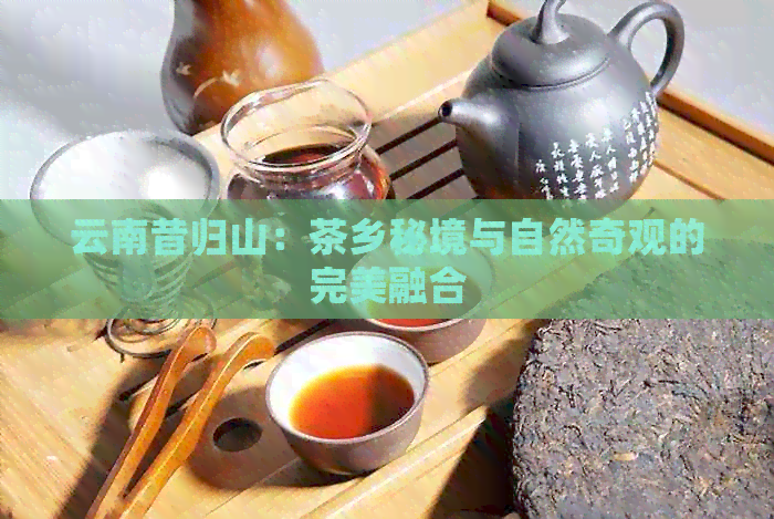 云南昔归山：茶乡秘境与自然奇观的完美融合