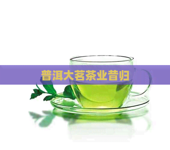 普洱大茗茶业昔归