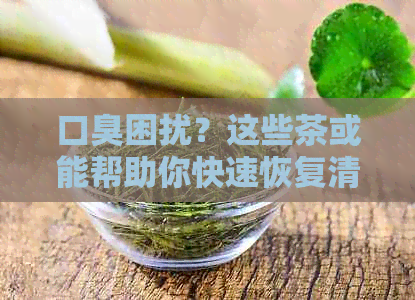 口臭困扰？这些茶或能帮助你快速恢复清新口气