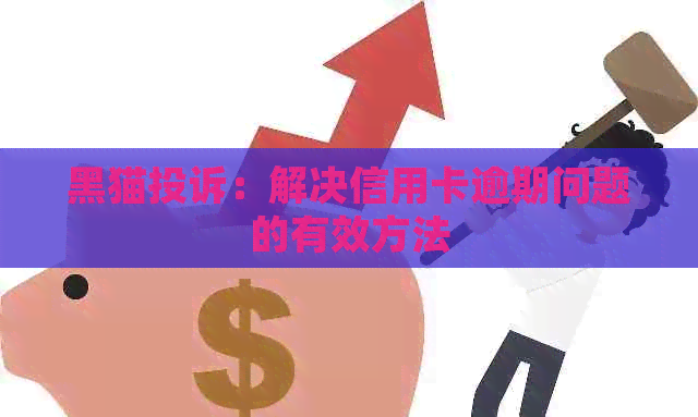 黑猫投诉：解决信用卡逾期问题的有效方法