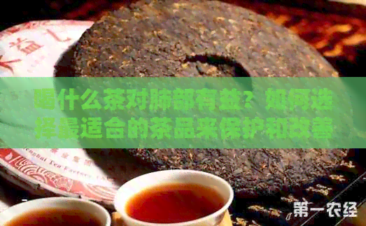 喝什么茶对肺部有益？如何选择最适合的茶品来保护和改善肺部健？